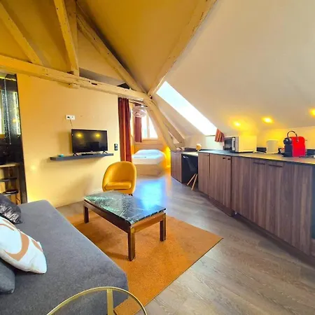 La Parenthese Romaine Apartmán Remeš